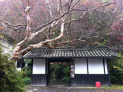 20111207-写真 3.JPG